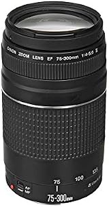 Canon EF 75-300mm f/4-5.6 III Telephoto Zoom Lens Canon DSLR view 6