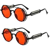 Calsgkspray 2Pcs Red Retro Steampunk Sunglasses Vintage Style Sun Glasses Round Metal Frame Circle Glasses Street Shot Eyewear Unisex Cool Sun Glasses Gifts,Sunglasses and Eyewear Accessories