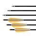 Crossbow Bolts Hunting Carbon Hunting Carbon Archery Arrow 18 Inch with Replaceable Arrow Tips 4 Inch Plastic Vanes(CT009,12PCS)