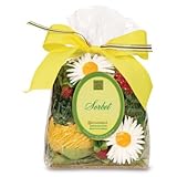 Designer Fragrance Summer Sorbet