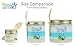 Sea Salt Body Scrub by Florida Suncare - Ocean Salt Body Polish Infused with Marine Algae - Exfoliating Face and Body Scrub - Facial Scrub Exfoliator to Tackle Acne (Key Lime, 12.1 oz)