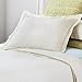 AllerEase Decorative Allergy Pillow Sham (Set of 2)