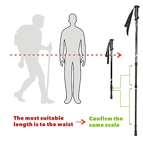 image for HITORHIKE Walking Sticks, Lightweight, 6061 Aluminum,7075 Aluminum,Car