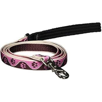 Laisse pour Chien Original - Petit, Moyen et Grand Chien - Laisse en