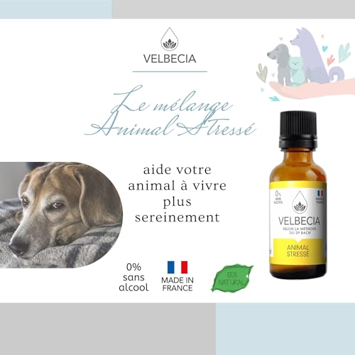 Velbecia Stressed Animal 50 ml + 1 Free Flower Elixirs Without Alcohol – Dr. Bach's Method – Fear, Anxiety Behaviour, Anxiety Behaviour, Anxiety, Anxiety, Nervousness, Dog, Cat, Horse