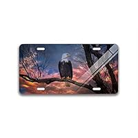 FEDDIY Customized License Plate Frame for Women/Man, License Plate Cover Auto Tag Holder Car Tag Frame Novelty Car Tag Holder 4 Hole and Screws (Bald Eagle)