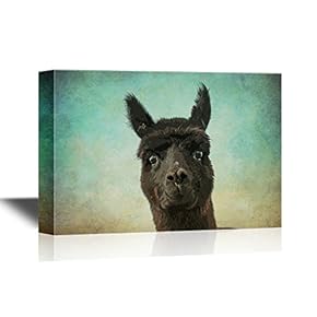 Wild Animal Canvas Wall Art - A Black Alpaca - Gallery Wrap Modern Home Art | Ready to Hang - 12x18 inches