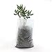 JPSOR 200Pcs Biodegradable Non-Woven Nursery Bags Plant Grow Bags Fabric Seedling Potsthumb 2
