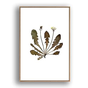 Framed Canvas Wall Art for Living Room, Bedroom Leaves Canvas Prints for Modern Home Decoration Ready to Hang - 16"x24" inches