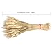 GTidea Large Golden Dried Triticum Natural Wheat Premium Bunsh Fall Arrangements Full Wholesale DIY Home Kitchen Table Wedding Centerpieces Decorative