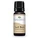 Plant Therapy Soft Skin Essential Oil Blend 10 mL (1/3 oz) 100% Pure, Undiluted, Therapeutic Grade