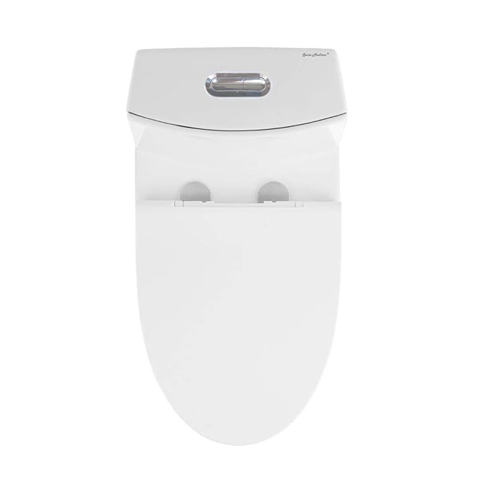 Best Flushing Toilets New Heroes In Town! [Sep 2020]