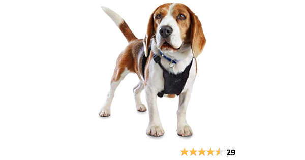 good2go no pull harness