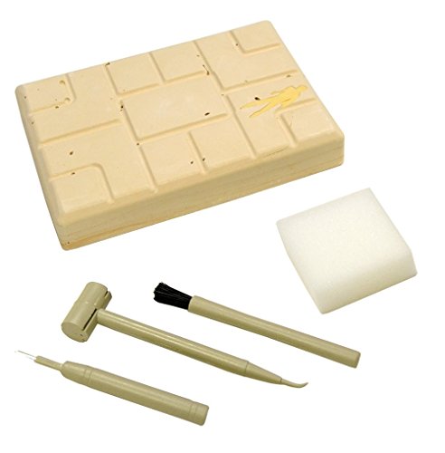 2 Science4you+Excavation+Stegosauros+Educational+Science