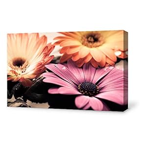 SIGNFORD Canvas Wall Art for Living Room,Bedroom Home...