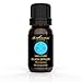 Black Spruce Essential Oil - Smells Like Christmas! - 100% Pure, Best For Better Breathing, Aromatherapy, Massage And Immune Boost, 15 ml