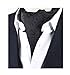MENDENG Men's Black Paisley Jacquard Woven Silk Cravat Formal Self Tie Ascot