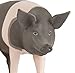 Safari Ltd. Hampshire Pig Figurine - Detailed 4.25