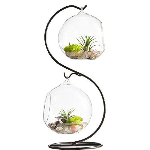 Mkono Glass Vase Plant Terrarium with Metal Stand, 2 Globe