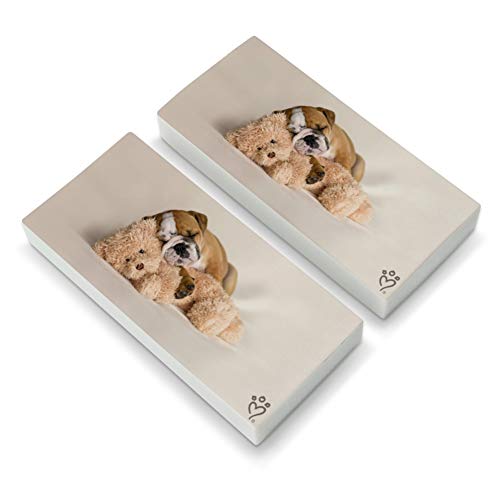 British Bulldog Puppy Dog Asleep with Teddy Bear Eraser Set of 2
