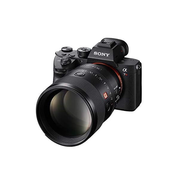Sony FE 135mm f/1.8 GM | Vollformat, Super-Teleobjektiv, Porträt Objektiv (SEL135F18GM) – Bild 3