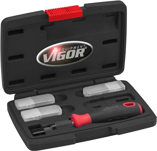 ViGOR V6030 Scraper Set I 16-Piece Set with Different Wide Blades Including Replacement Blades I Tool for Removing Plaques, Stickers, Vignettes or in Kitchen and Household