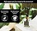 Reed Diffuser Gift Set, Natural Essential Oil Long Lasting Fragrance 5 oz; Aromatherapy Air Freshener; Laos White Tea and Ginger (+Other Scent Options Available) w/Glass Bottle & Rattan Reeds
