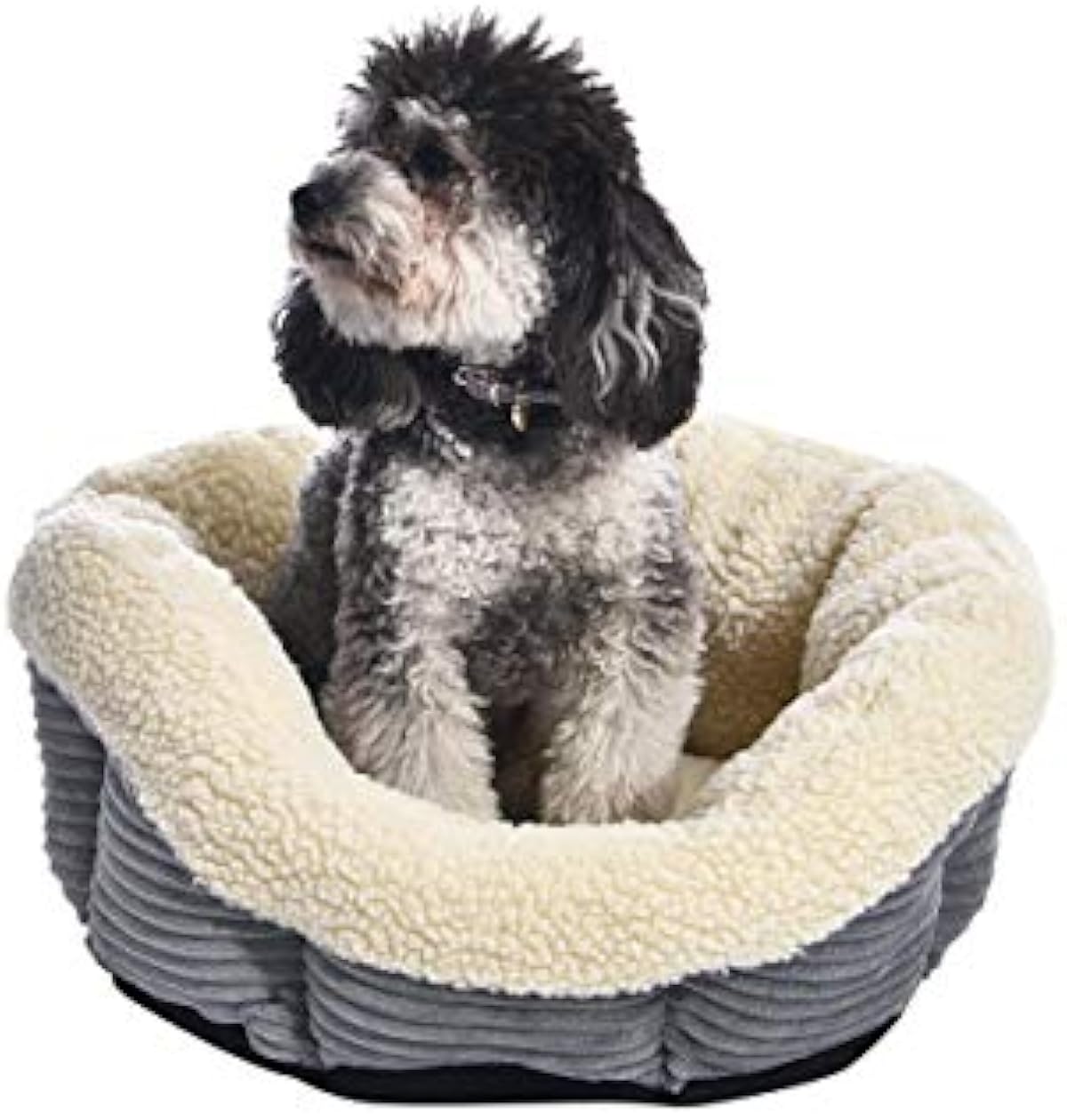 amazonbasics dog bed