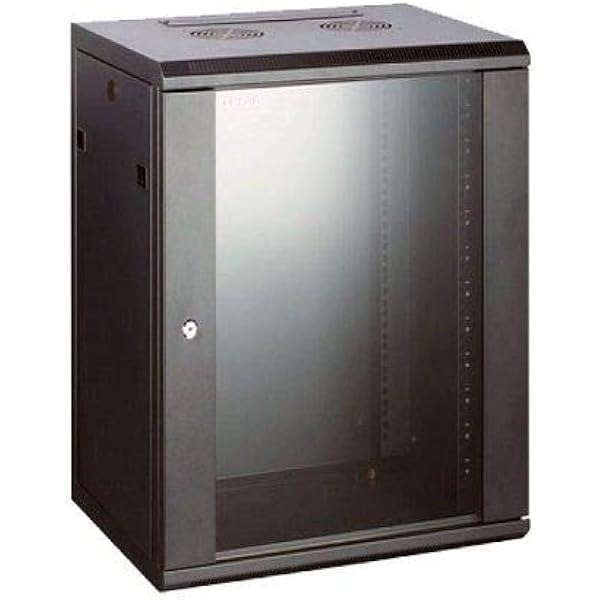 CABLEPELADO Armario Rack Mural 19 de 12U 600x450x640mm Pared Negro: Amazon.es: Electrónica