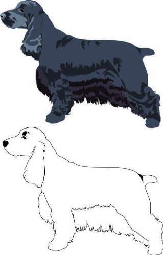 english cocker spaniel grooming