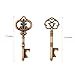 Makhry Mixed 20 Extra Large Key Shape Bottle Openers Antique Copper Skeleton Keys - 2 Styles,20 Key Openers (Antique Copper)