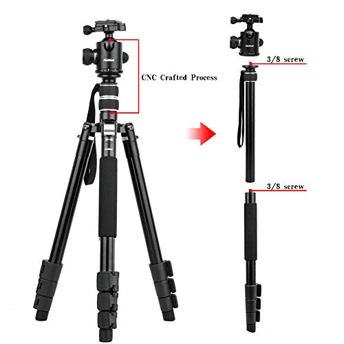 Travel Camera Tripod, Abithid 65'' Portable and Compact Aluminum DSLR Monopod Tripod with 360°Panorama 36 mm Ball Head 1/4 Quick Release Plate for Travel and Work