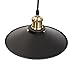 Fuloon Edison Vintage Loft Industrial Pulley Pendant Lights Adjustable Wire Lamps Retractable Lighting (Black)