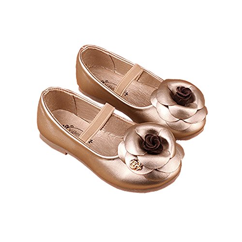 Infant Toddler Girl Princess Dress Up Shoes Elegant Golden Ballet |  Desertcart Gambia
