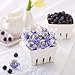 Lindt Blueberries & Cream White Chocolate Truffles 5.1 oz Bag