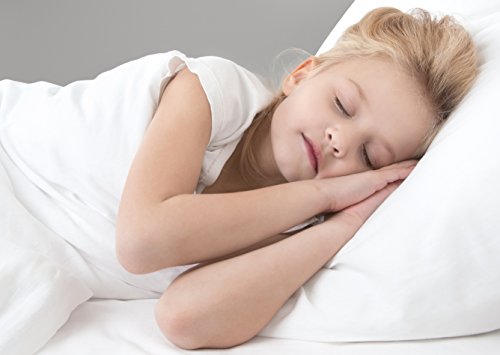 Hotel Pillow Double Down Surround - As Seen in Many 5 Star Hotels and Resorts. (Standard) - Thumbnail 3