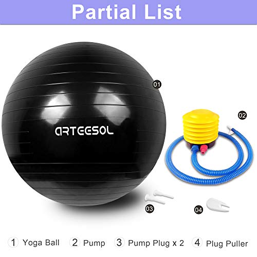 6 arteesol+Exercise+Stability+Professional+Resistant