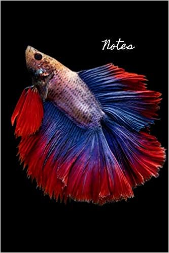 fighter fish in amazon