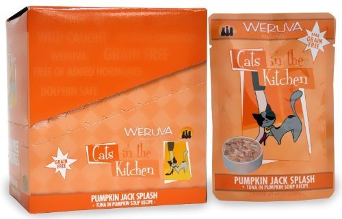 weruva pumpkin jack splash