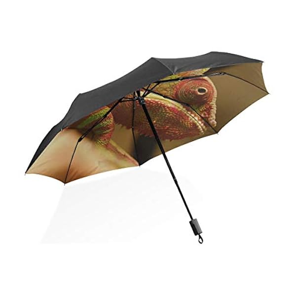 Ombrello foto Clearance