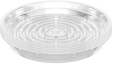 Jecengs Clear Plant Saucers for Indoor Outdoor Plants 25cm (10inch) 5 Pack