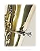 Berp BERP6 Tuba Buzz Extension Resistance Piece
