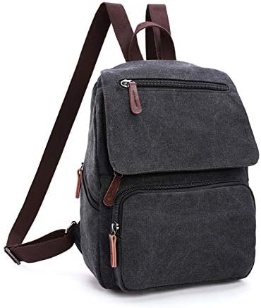 HWX Tote Double Shoulder Bag, Fashion Men & Women Small Backpack Washing Canvas Street Leisure Daypack (Color : Black, Size : 36cm*26cm*10.5cm)