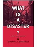 What is a Disaster?: A Dozen Perspectives on the Question