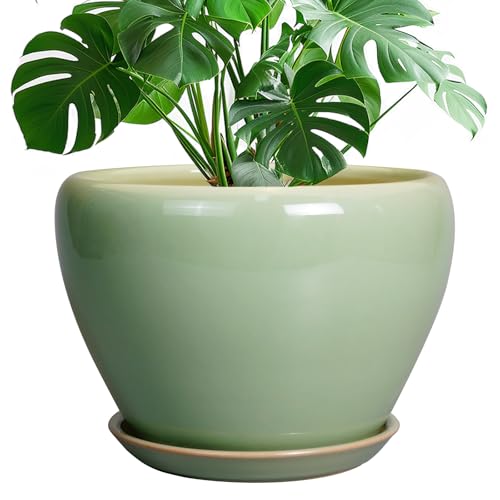 Ceramicfor Ceramic Planter Pot Plant Pot