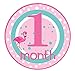 Mumsy Goose Baby Girl Stickers Tropical Monthly Bodysuit Stickers 1-12 Month Milestones Pink Flamingo