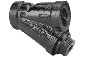 1", Threaded, Cast Iron, Y Strainer