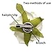 CellElection Two Methods of Use Rose Flower Hair Clips Flower Brooches Pin For Women Girls Lady(12 Pieces)