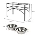 Funkeen Elevated Dog Bowls Raised Pet Feeder Cat Food & Water Diner Stand Set w/ 2 Removable Stainless Steel Bowls (2 Quarts/13.77
