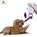 SunGrow Pretty Purple Pet Water Dispenser Bottle BPA Free, Rust Proof, Leak Proof - Dripless Stainless Steel Pipe - Keep Puppies, Cats, Bunnies and Other Small Animals hydrated: Easy to Install